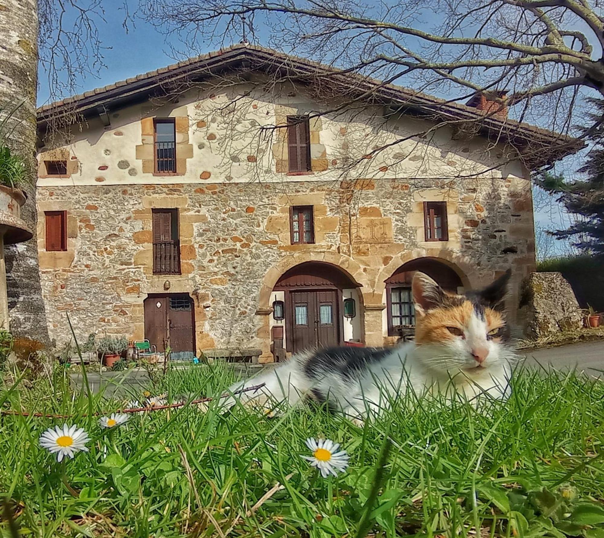 Casa Rural Areano Guest House Escoriaza Exterior photo